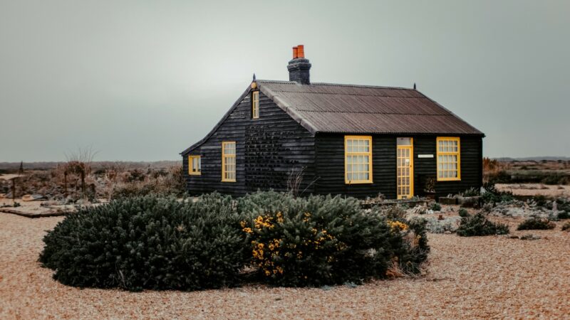 Dark wood cottage with yellow window frames, with a big bush in the foreground