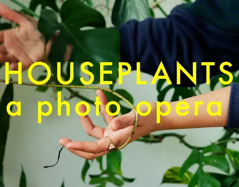 A close up of outstretched arms tangling with the woody vines of a plant, with vibrant green monstera leaves in the background. The words Houseplants, a photo opera are written in bright yellow over the top.
