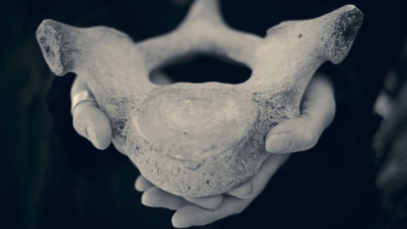 Black and white picture of a pair of hands holding part of a whale bone.