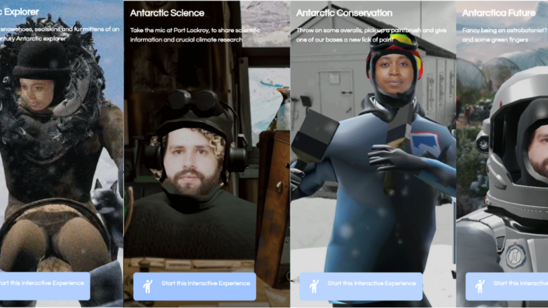 Examples of Wearing Antarctica Tik Tok filters