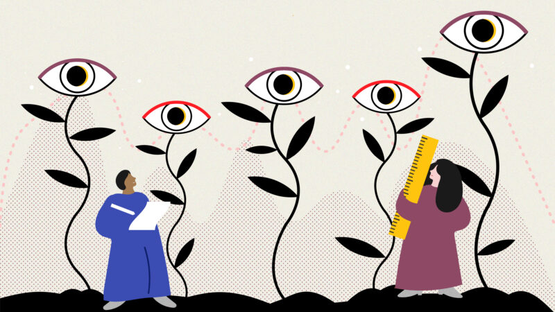 Illustration depicting two people observing and measuring tall plants with large, eye-like flowers.