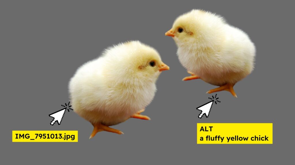 Two fluffy yellow baby chicks against a grey background. An arrow accompanied by a string of numbers points to one, another arrow accompanied by a short description of the chick point to the other.