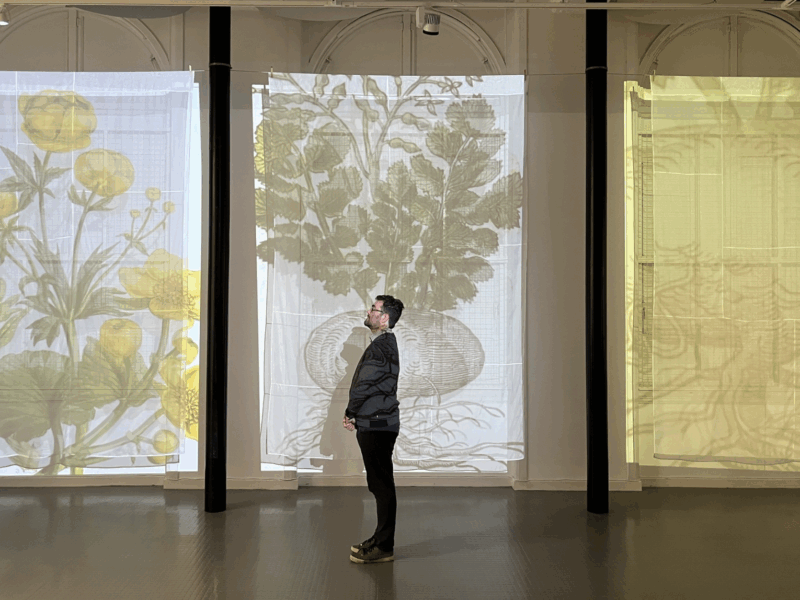 A person stands in front of a large projection depicting interesting flora and fauna